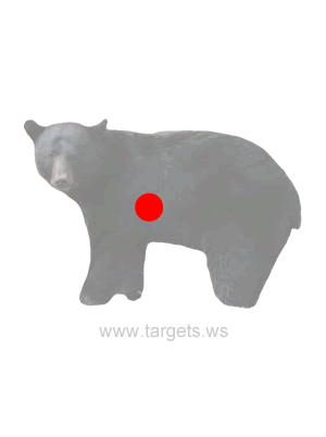 Bear Shooting Target